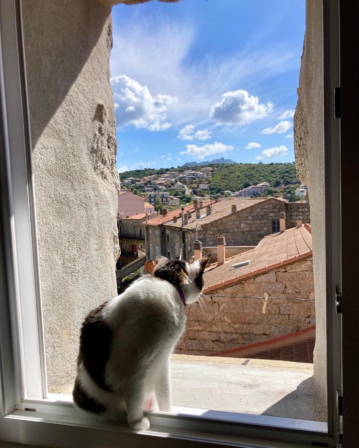 Appartamento T3 Avec Vue Sur La Mer Notre Chez-Nous Propriano  Esterno foto